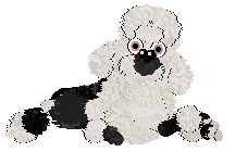 Profile image of Poppyhill/FDL's Monochrome Sovereign