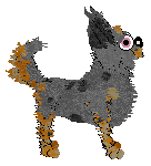 Cirrutopia's Creeping Myrtille — “Myrtille”