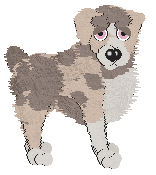 Spellbound/FDL's Pasture in the Lucky Country — “Clover”