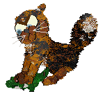 Funfetti Apiary In The Woods — “Honeybit”