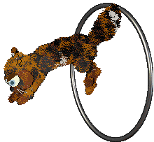 Funfetti Apiary In The Woods — “Honeybit”