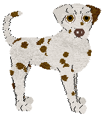 Profile image of DARKNESS Fizzing Bee-shaped Chocolate