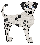 Profile image of DARKNESS Star at the Dawn