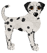 Profile image of Confetti's Rather Be Shiny