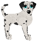 Profile image of DARKNESS The Hangman's Daughter