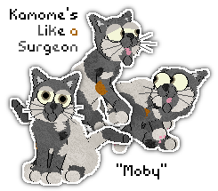 Profile image of Kamome's Like a Surgeon