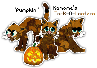 Profile image of Kamome's Jack-O-Lantern