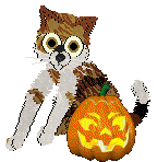 Kamome's Trapped and Well Concealed — “Solstice”