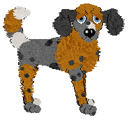 Profile image of Sz's ;!;!;!;!;!;!