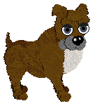 Audaxity's Antilles Bravado — “Barbados”