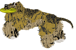 Cirrutopia's Lure of Freedom — “Lure”