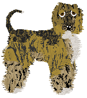 Cirrutopia's Lure of Freedom — “Lure”