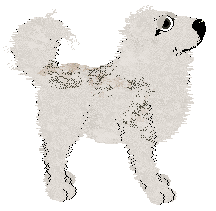 CXB/Cargo's Legendary Bounty at Cirrutopia — “Etta”