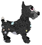 Spellbound/Tangled's Counterfeit Cremelo — “Honeybun”