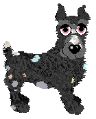 Spellbound/Tangled's Counterfeit Cremelo — “Honeybun”