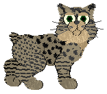 Tangle's Teddy Bear Face — “Teddy”