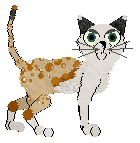 Starfrost/Tangled's Ravens Not — “Ravenette”