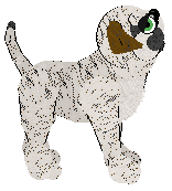 Profile image of Cargo/PH's Born This Way