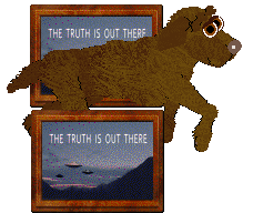 TWM's Pause It, Play It — “Toast”