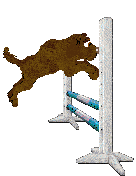 TWM's Pause It, Play It — “Toast”