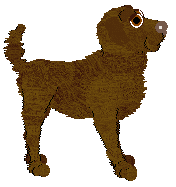 TWM's Pause It, Play It — “Toast”