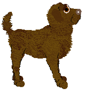 Profile image of TWM's Pause It, Play It