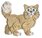 Cirrutopia's Mixed Media — “Gaze”