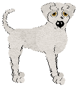 Profile image of Xoops' Berk at Wild Road