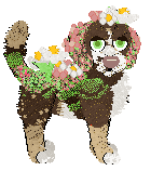 Profile image of Xoops' Walking In The Orchard at Wild Road