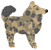 Wild Road's Mountain Lifestyle — “Skea”