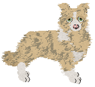 Ferality's Winners Dinner at Come Bye — “Chicken”