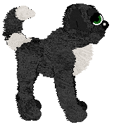 EC's Night of the Stormrider — “Nightrider”