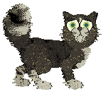 Perfume/FDL's You Only Live Once... Or 9 Times — “Bob”