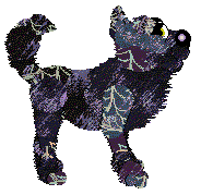 Ferality's Spider Sparklers at Vanilla — “Wraithe”