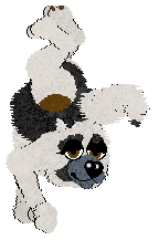 Vanilla/Pachelbel's In Honor Of — “Sean”