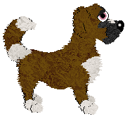 APK/King's Snuggle Up — “Teddy”