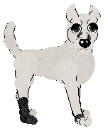 Profile image of Medusa/King's Well Wishes