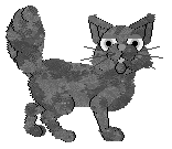 Cirrutopia's Misty Morning — “Noira”