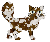 Cirrutopia's Lion Tale — “Lio”