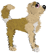 Bec/King's Stuck Upstream — “Paddle”