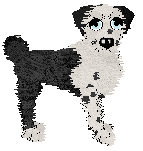 Wild Road's Great Waterwheel — “Abarran”