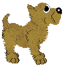 Cargo's Hard Nut to Crack at SzK — “Walnut”