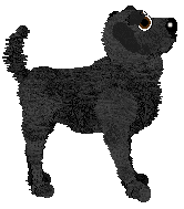 Cargo's Bright Summer Day — “Campania”