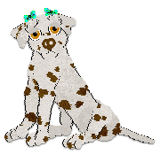 Profile image of Alohomora/Cargo's Mint Chocolate