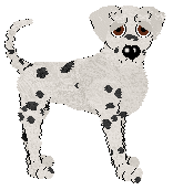 Cargo’s Identity Theft Is Not a Joke — “Nashua”