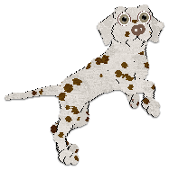 Profile image of Cargo's Bending Light