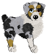 Cargo's Delicate Blue — “Celestine”