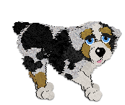 Profile image of Cargo's Animal Vegetable Mineral