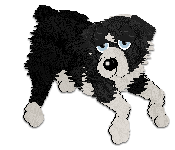 Profile image of Cargo's Onyx Flecked