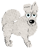 Witz/FDL's Sweet & Fluffy — “Marshmallow”